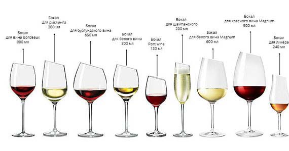 выбор вина - бокалы для вина