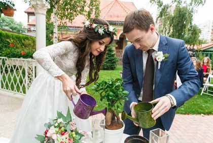 свадебные традиции в России - посадка дерева