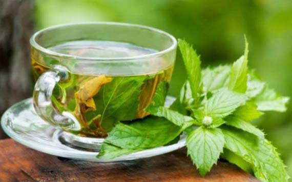 чаи для женщин - чай с малиновыми листьями