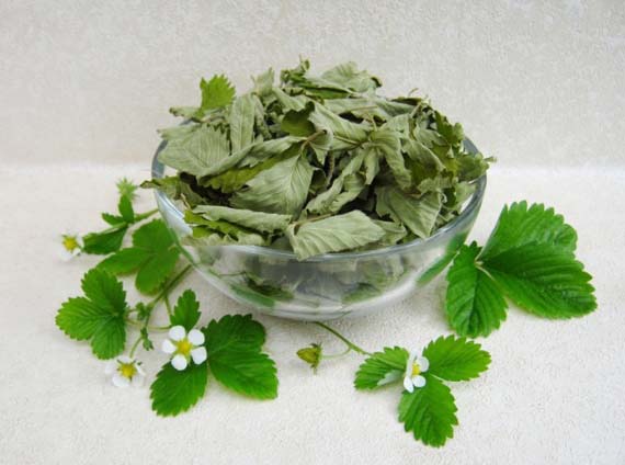 чаи для женщин - чай с листьями земляники